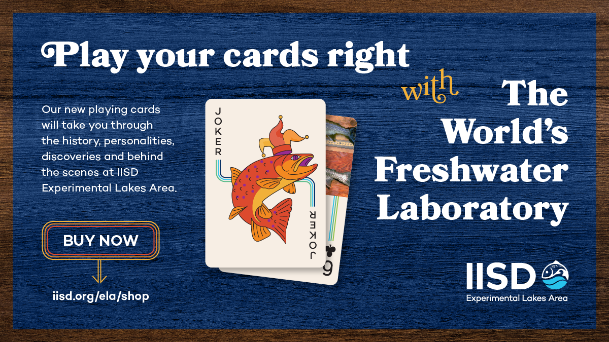 IISD-ELA Deck of Cards