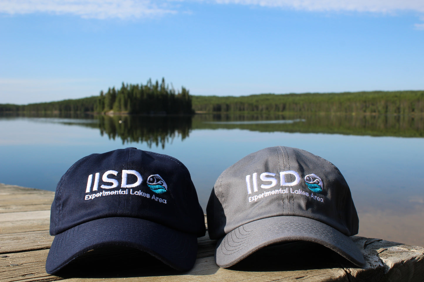 IISD-ELA Hat
